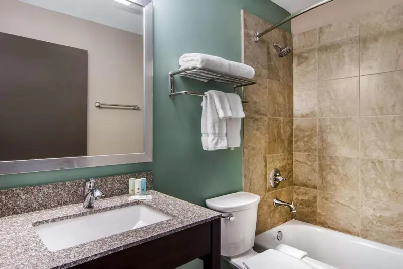 Clarion Inn & Suites Atlanta Downtown, photo 3