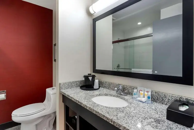 Comfort Inn & Suites near Stadium, photo 3