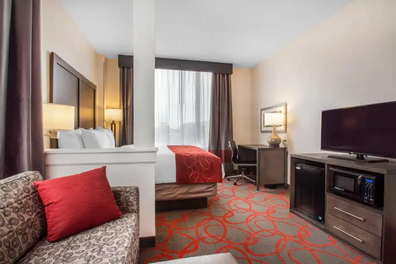 Comfort Inn & Suites near Stadium, photo 4