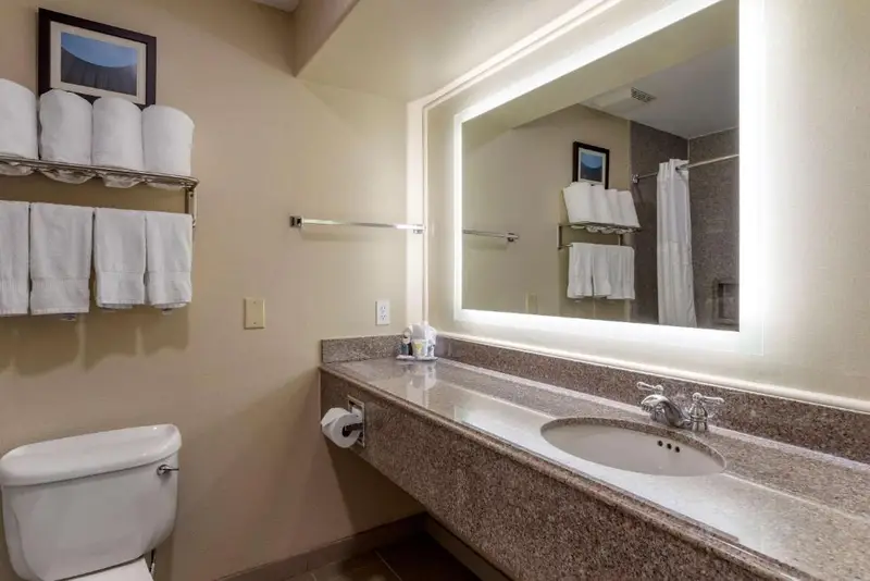 Comfort Suites Houston near Medical Center- NRG Stadium, photo 3