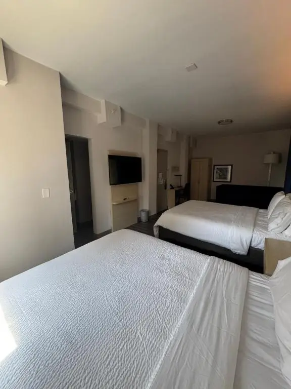 Holiday Inn Express & Suites - Atlanta Downtown by IHG, photo 3