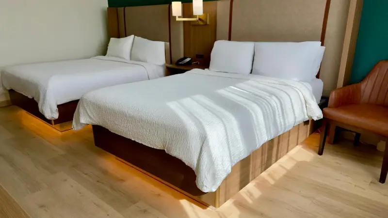 Holiday Inn Houston S - NRG Area - Med Ctr by IHG, photo 2