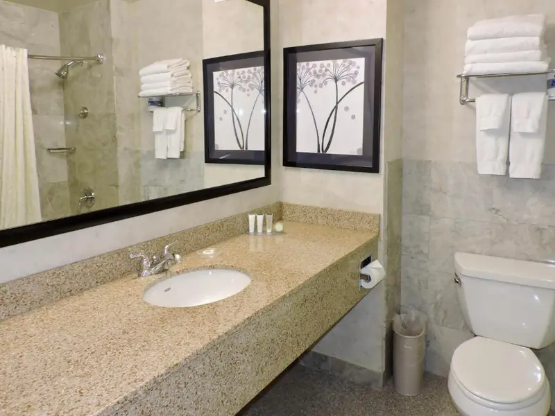 Marco LaGuardia Hotel & Suites, photo 3