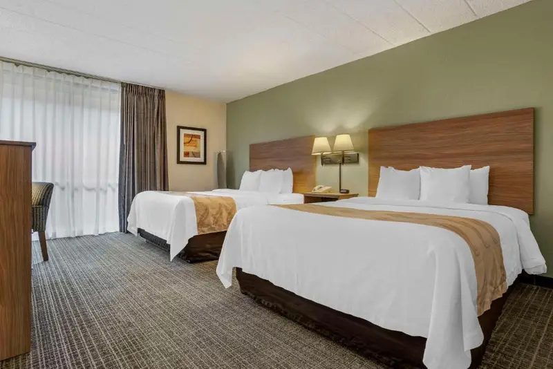 Quality Inn & Suites NRG Park - Medical Center, photo 2
