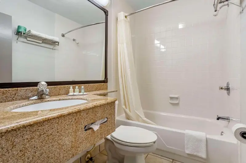 Quality Inn & Suites NRG Park - Medical Center, photo 3